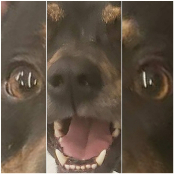 Meet your Posher, Alder - Picture 1 of 1